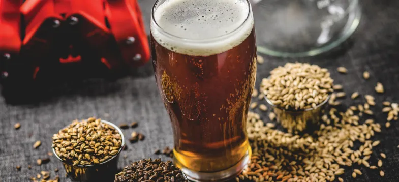  啤酒發(fā)酵過程大揭秘！vAPCI+CMS 聯(lián)用新技術(shù)如何快速捕捉風(fēng)味密碼？